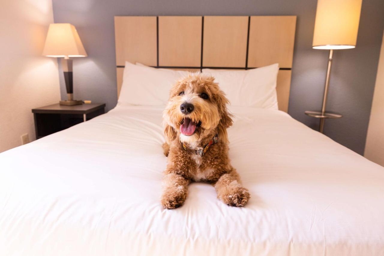 Sonesta Simply Suites Birmingham Хувър Екстериор снимка